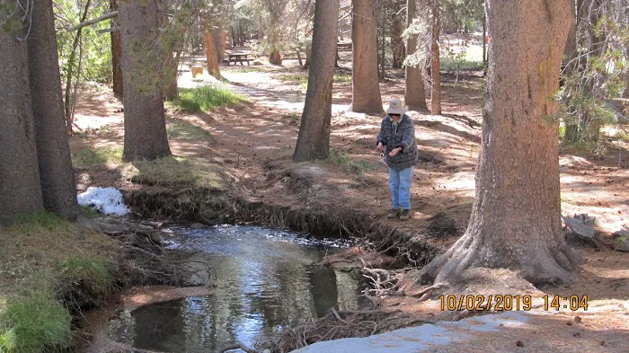 Upper Deadman Campground 4