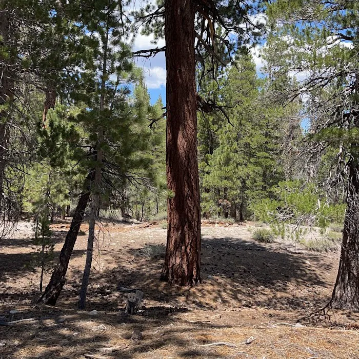 Upper Deadman Campground 7