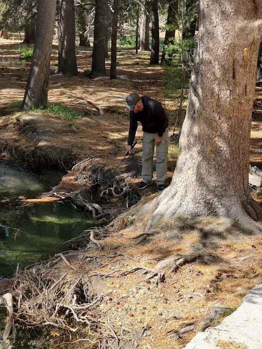 Upper Deadman Campground 2