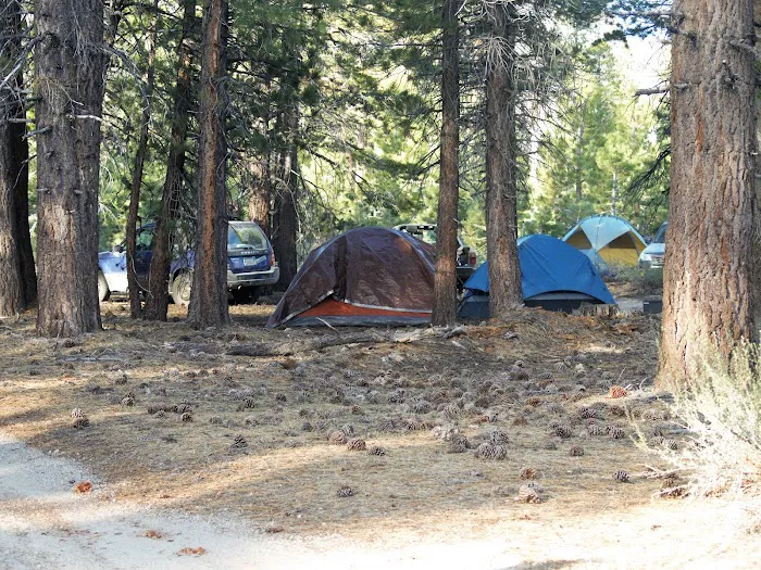 Upper Deadman Campground 6