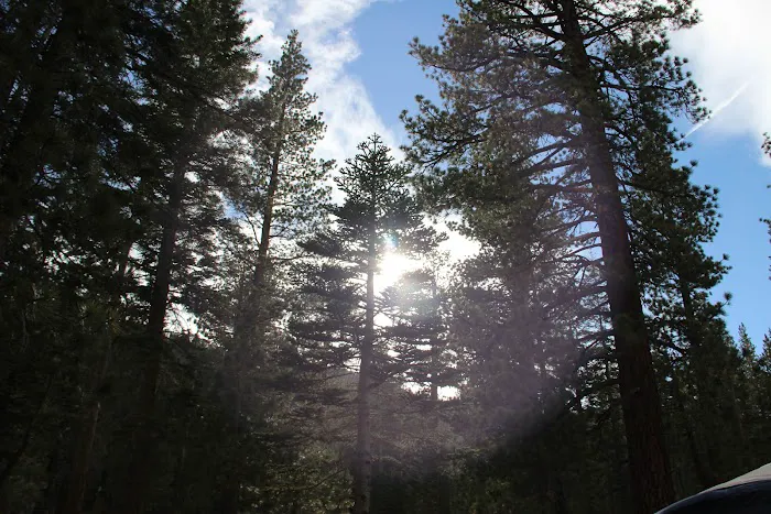 Hartley Springs Campground 5