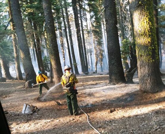 Wells Cabin Campground