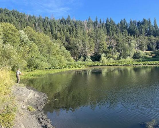 Howard Meadows Campground