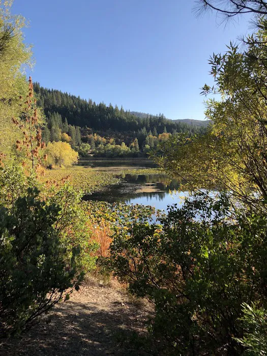 Howard Meadows Campground 9