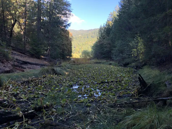 Howard Meadows Campground 6