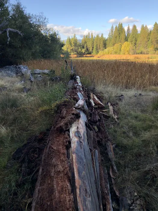Howard Meadows Campground 5