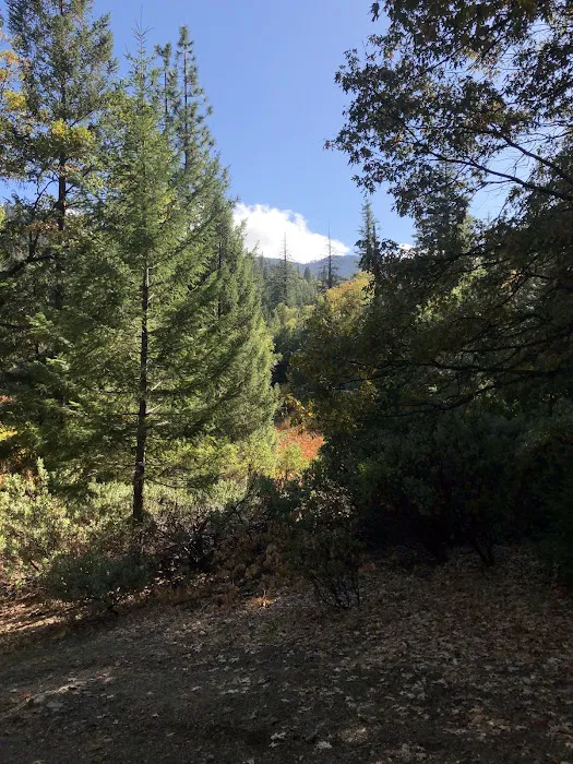 Howard Meadows Campground 4