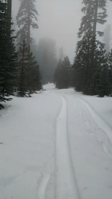 Telephone Campground 4