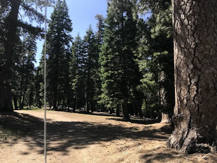 Masterson Group Campground 6