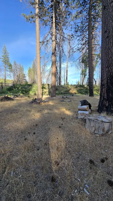 Sugarfoot Glade Campground 2
