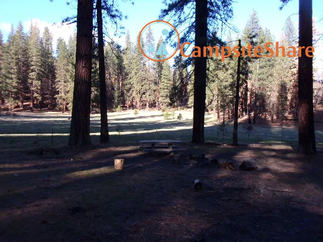 Kingsley Glade Campground 2