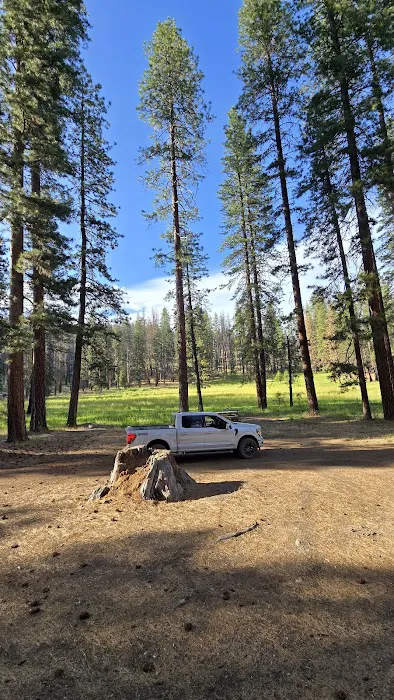 Kingsley Glade Campground 8