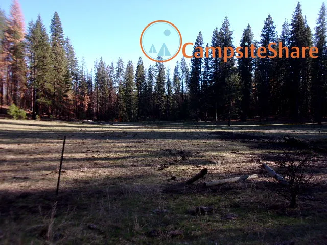 Kingsley Glade Campground 3