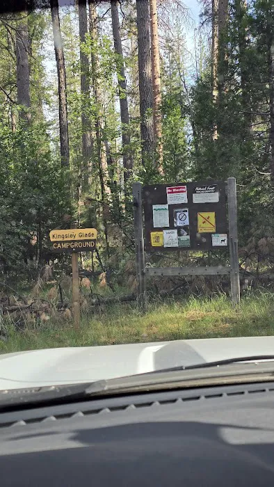Kingsley Glade Campground 5