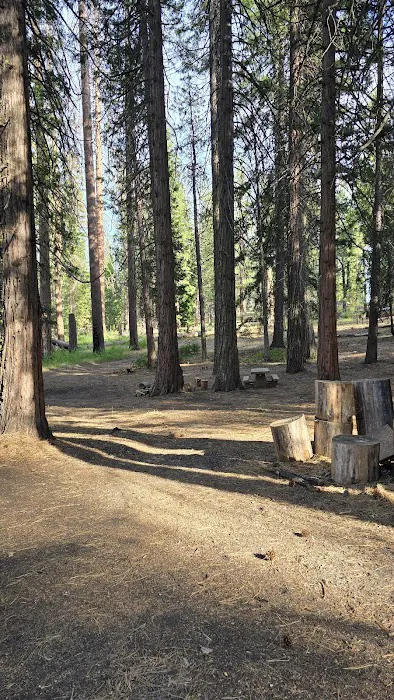 Kingsley Glade Campground 9
