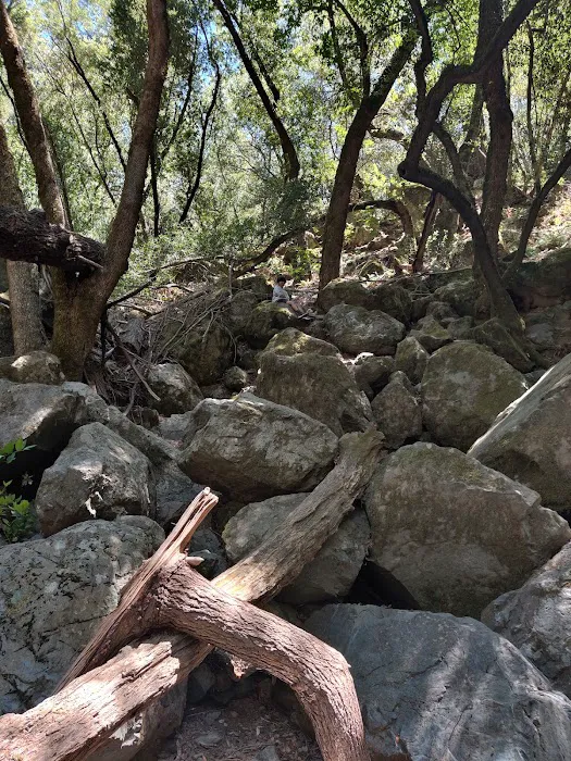 Sugarloaf Ridge Campground 8