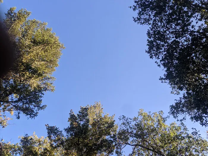Ritchey Creek Campground 4
