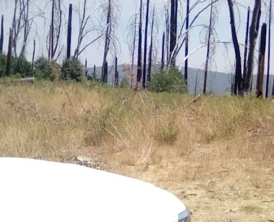 Green Flat Camp
