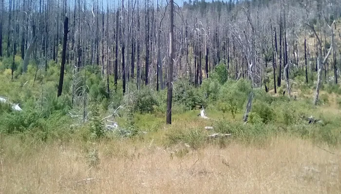 Green Flat Camp 1