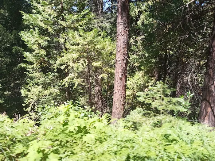 North Fork Campground 7