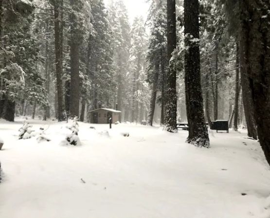 North Fork Campground