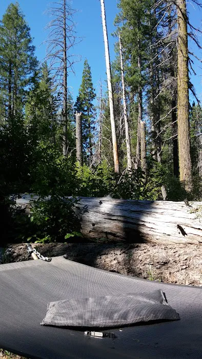 North Fork Campground 9