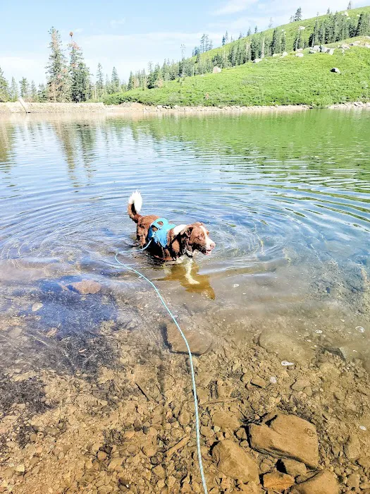 Carr-Feeley Lake Campground and Trailhead 1