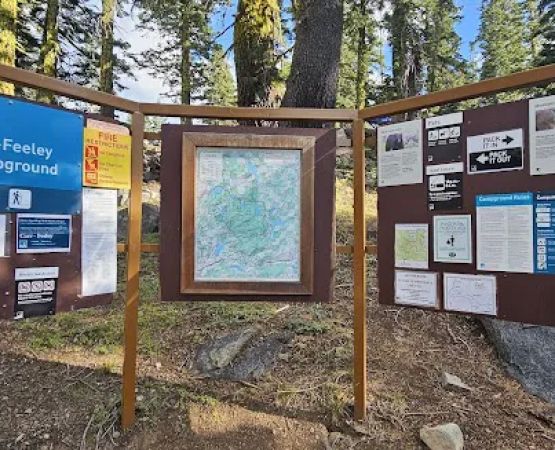 Carr-Feeley Lake Campground and Trailhead