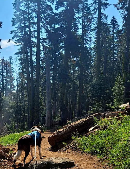 Carr-Feeley Lake Campground and Trailhead 2