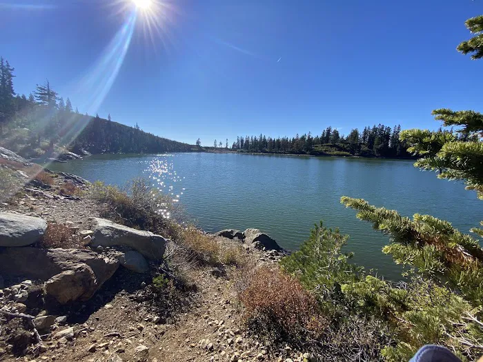 Carr-Feeley Lake Campground and Trailhead 6
