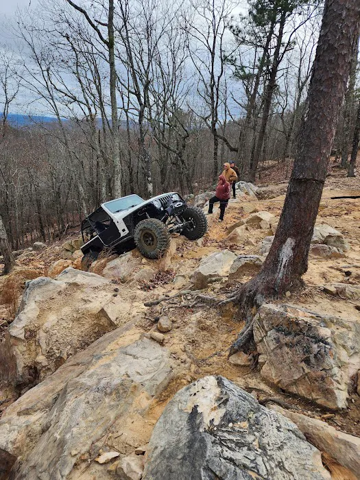 Choccolocco Mountain 5
