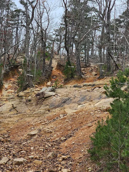 Choccolocco Mountain 4