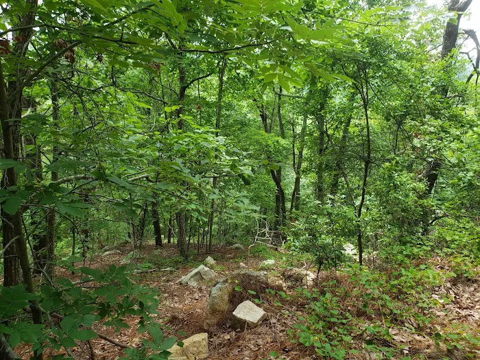 Choccolocco Mountain 0