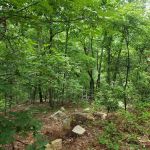 Choccolocco Mountain