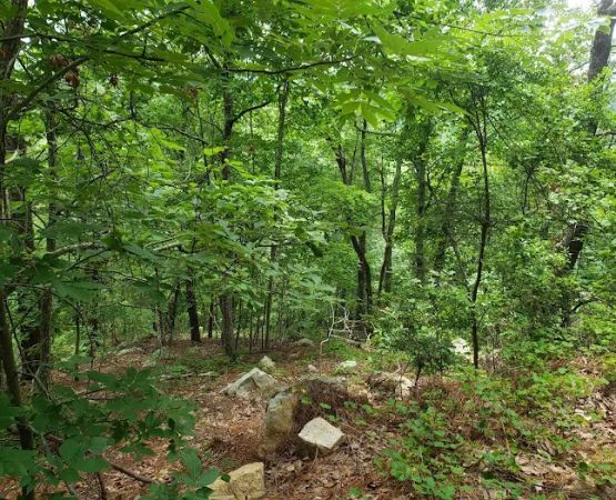 Choccolocco Mountain