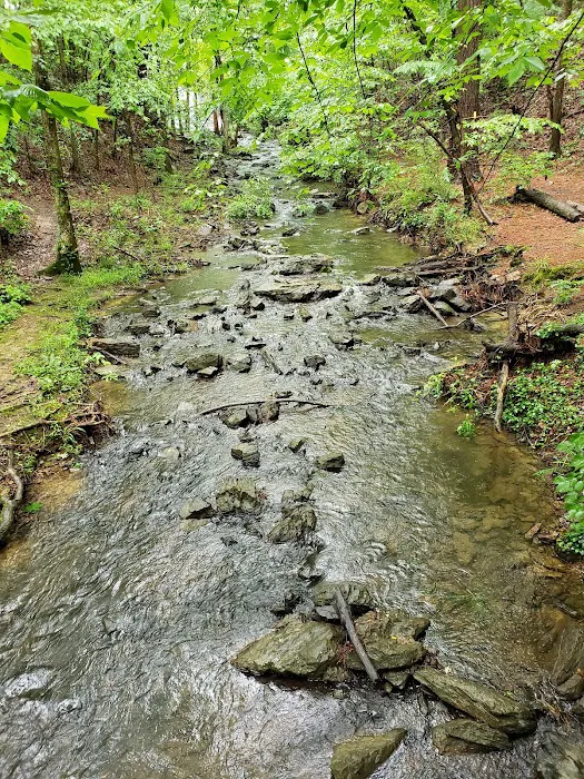 Camp Tranquility 2