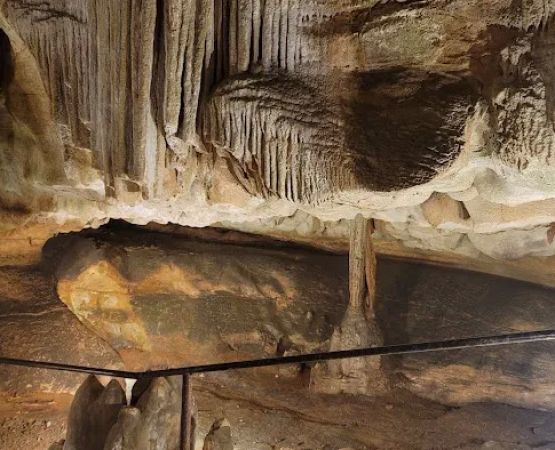 Rickwood Caverns State Park Campground