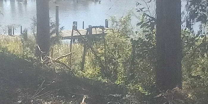 Clevenger's Campground and Boat Launch 1