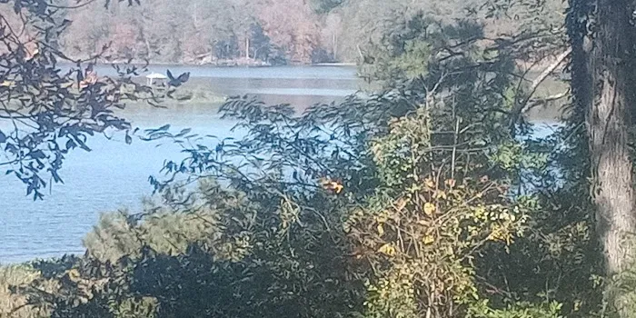 Clevenger's Campground and Boat Launch 7