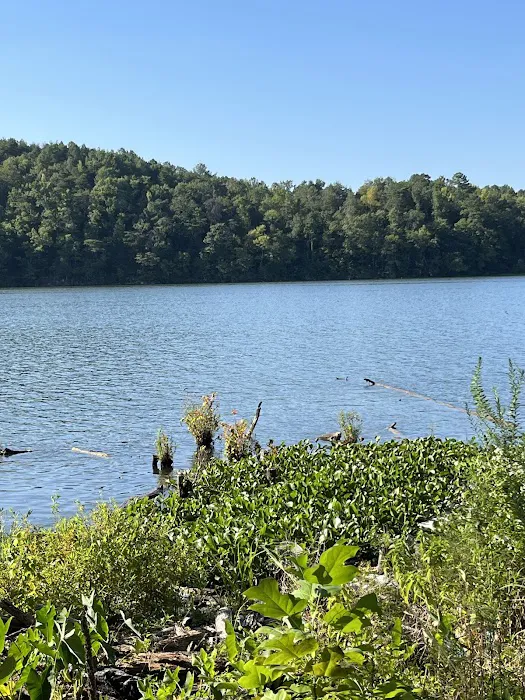Clevenger's Campground and Boat Launch 0