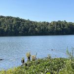 Clevenger's Campground and Boat Launch