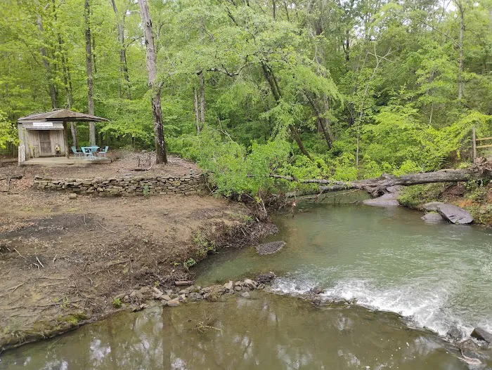 Camping at Blue Creek 6