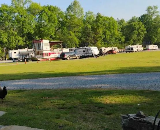Camping at Blue Creek