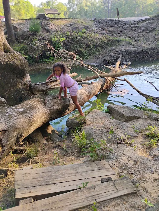 Camping at Blue Creek 8