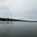 Wind Creek State Park Equestrian Campground