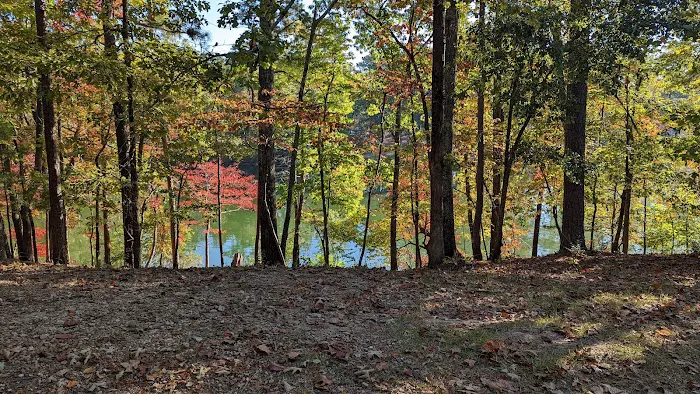 Wind Creek State Park Equestrian Campground 4