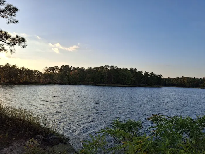 Wind Creek State Park Equestrian Campground 2