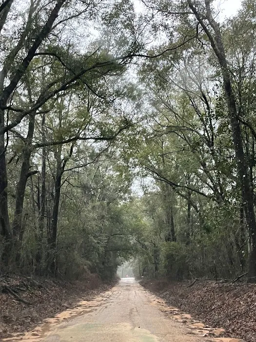 Lake City Campground 2