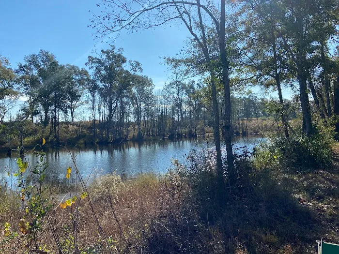 Down South RV Park and Music Fest 8