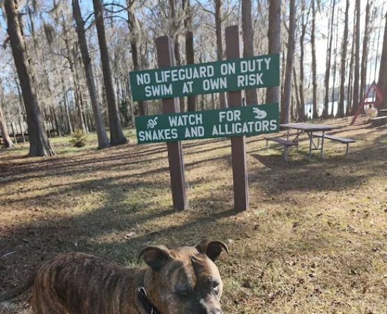 Florala City Park